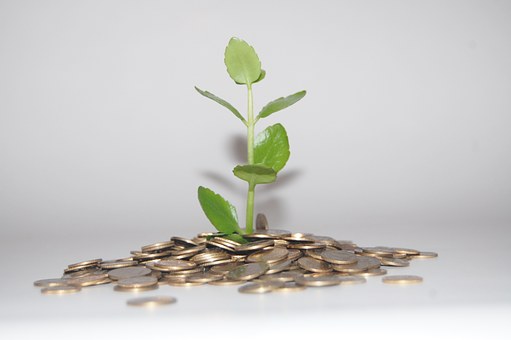 plant groeit geld natuurlijk