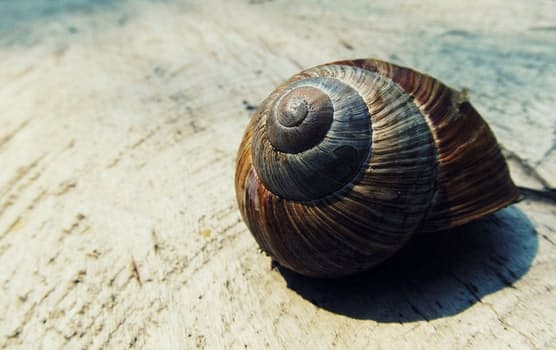 ontspannen geboorte technieken