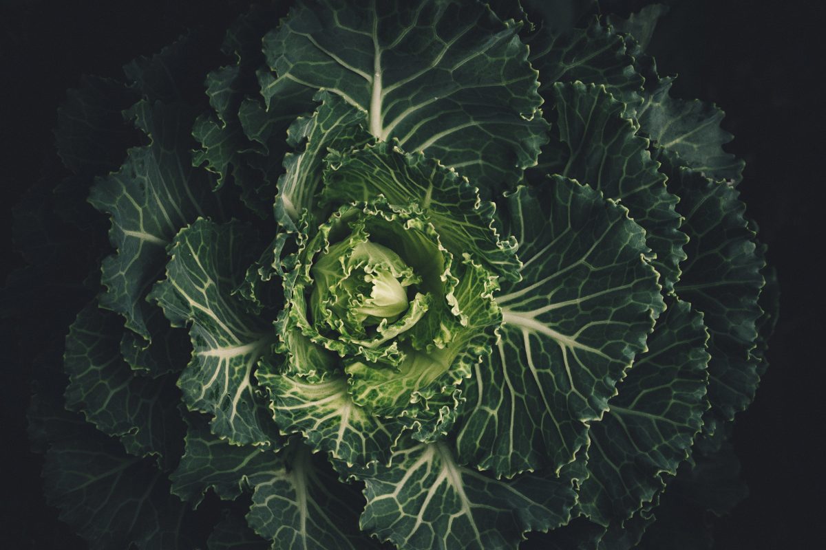 groene kool natuurlijke vitaminen
