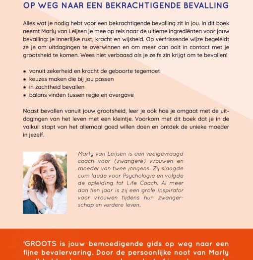 achterkant boek zwanger