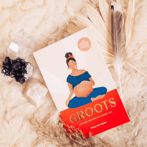 boek groots over bevallen in regie