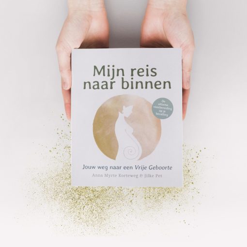 zwangerschapsboek