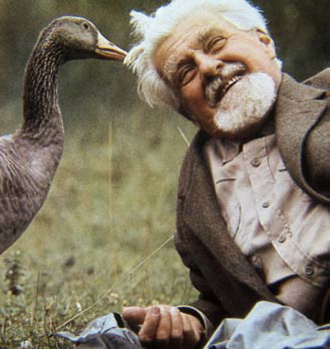 Konrad Lorentz en zijn ganzenkuikens