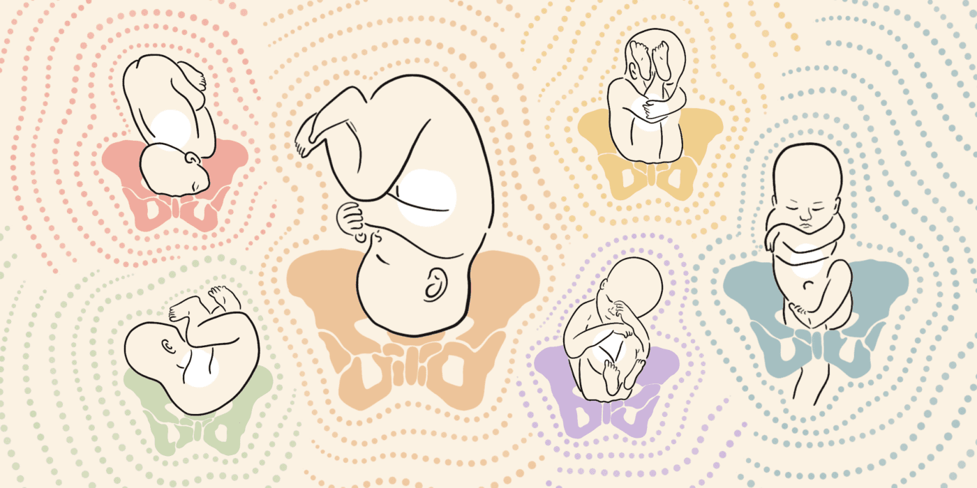 32 weken zwanger baby indalen
