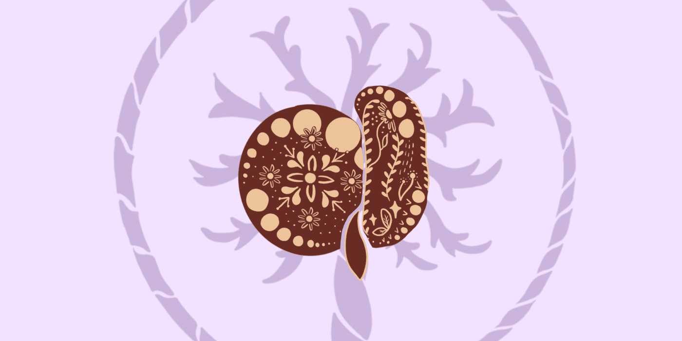 4 weken zwanger placenta