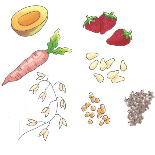 superfoods voor borstvoeding