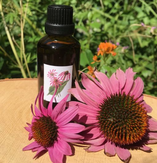 Echinacea tinctuur Weerstand - Afbeelding 3