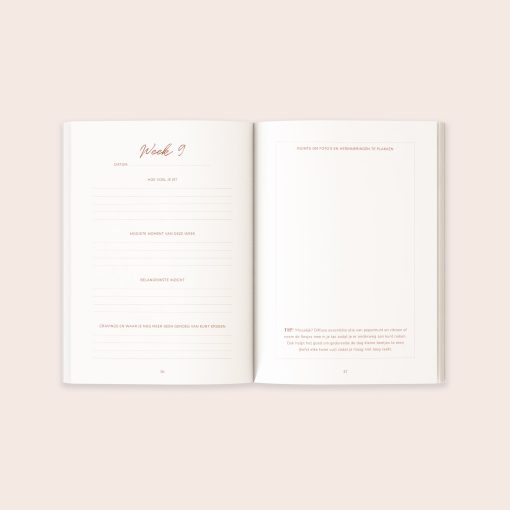 voorbeeld van bladzijde in zwangerschapsdagboek