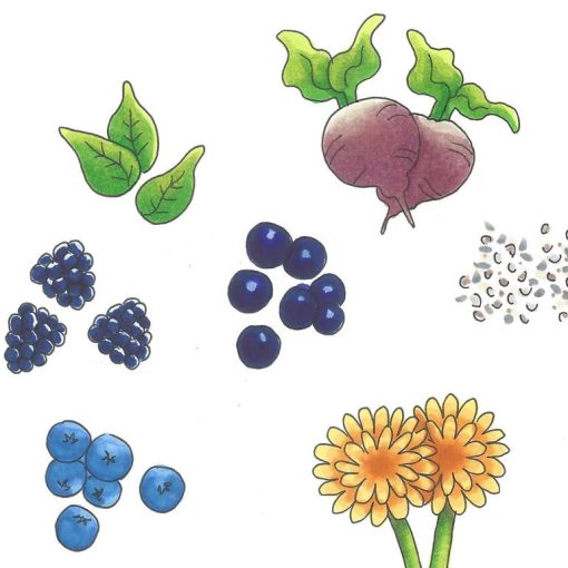 ingedienten superfood mix energie vrouwen
